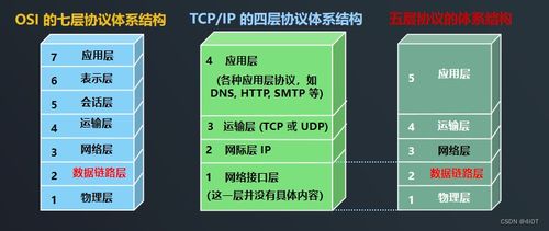 lv7 嵌入式开发 网络编程开发 12 ip协议与ethernet协议